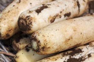 f3e108c70cb596b5b35a7a36fa0a2812_s