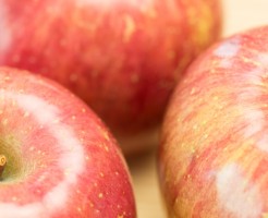 107c93b25fe20f81d104116a3c2d347d_s