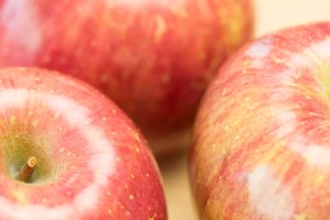 107c93b25fe20f81d104116a3c2d347d_s