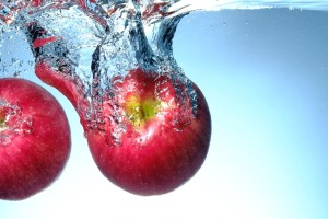 c8dc234561a7346c033f10c505cbb894_s